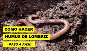 COMO HACER HUMUS DE LOMBRIZ