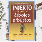 [PDF] INJERTO DE TODOS LOS ARBOLES Y ARBUSTOS PASO A PASO → ¡Gratis!