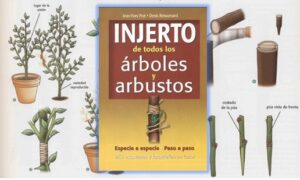 INJERTO DE TODOS LOS ARBOLES Y ARBUSTOS - copia